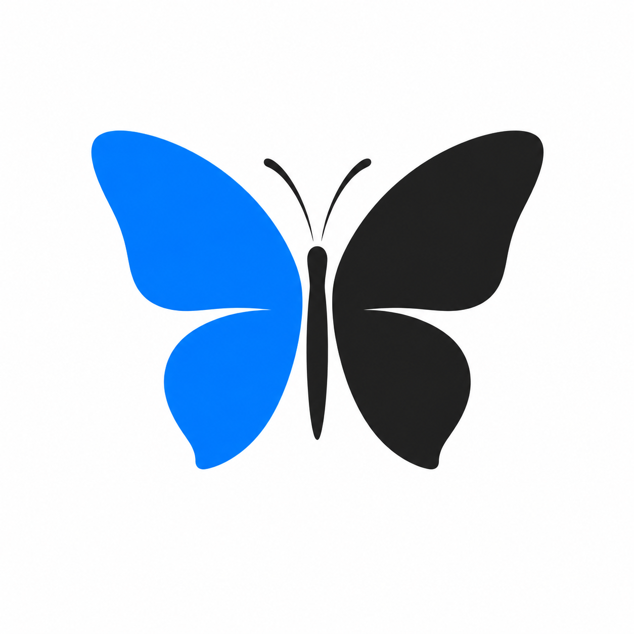 Papillon bleu et noir, emblème d’Apatura Group